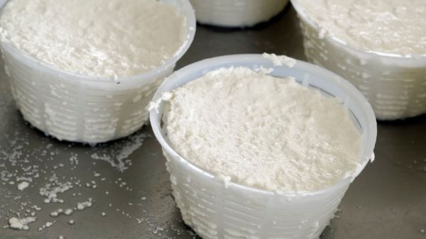 Quel est l’équipement de base pour faire son fromage à la maison? Quel est l’équipement de base pour faire son fromage à la maison?